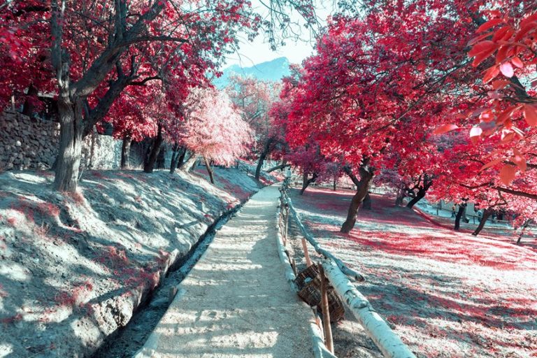 autumn hiking destinations near nyc