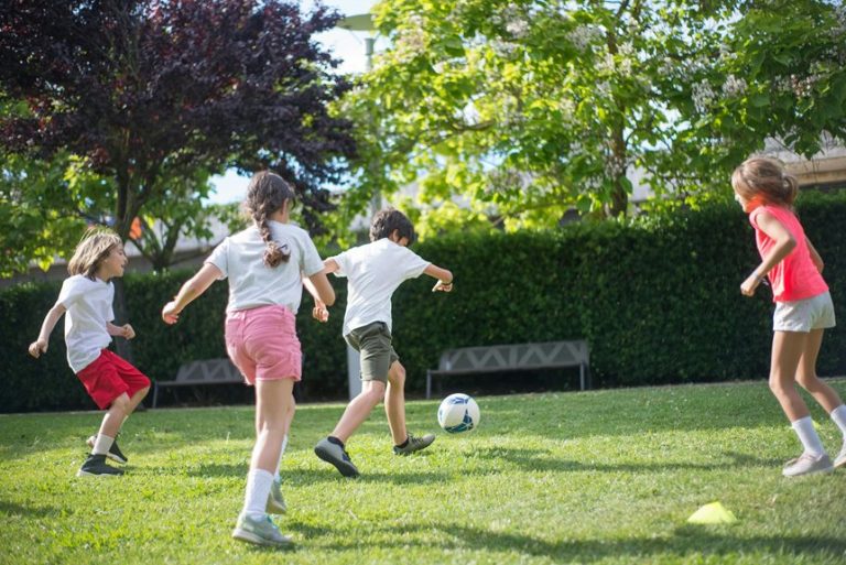 brooklyn s perfect day activities