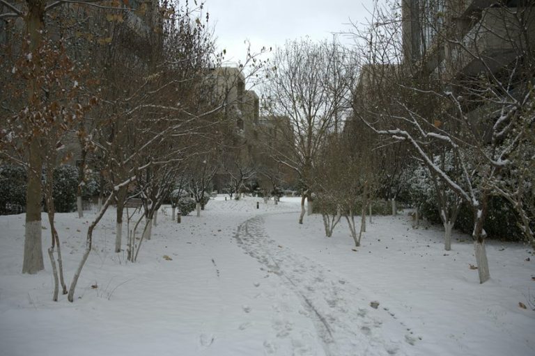 christmas activities in nyc