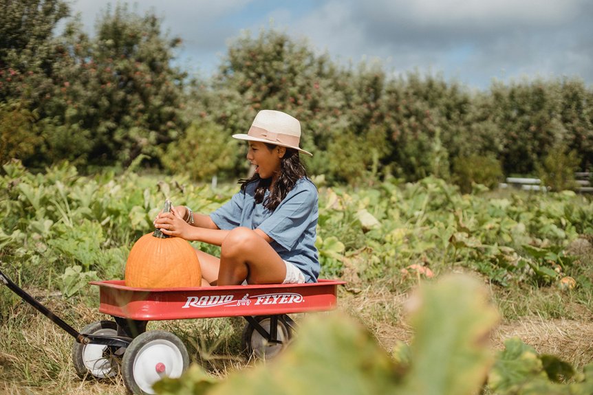 fall day trips pumpkin patches