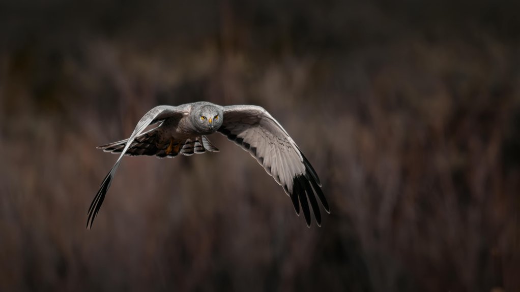 ghost hunting in nyc