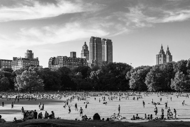 top manhattan picnic locations
