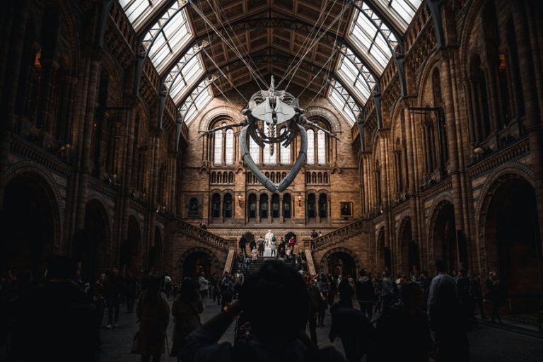 top museums in nyc